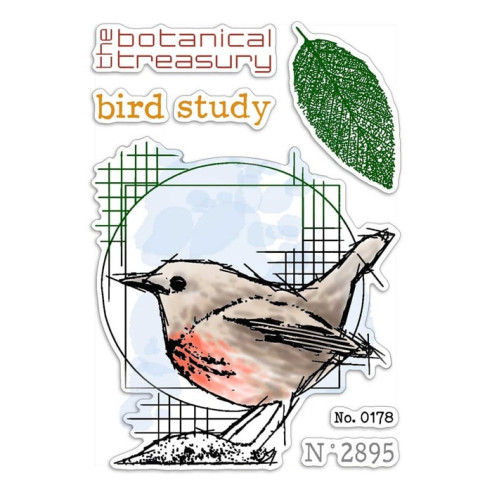 Sellos de scrapbooking de 10x15cm "Bird study"