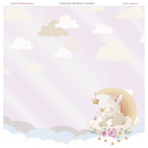 Colección papeles de scrapbooking "Mi dulce conejito" 21x21cm