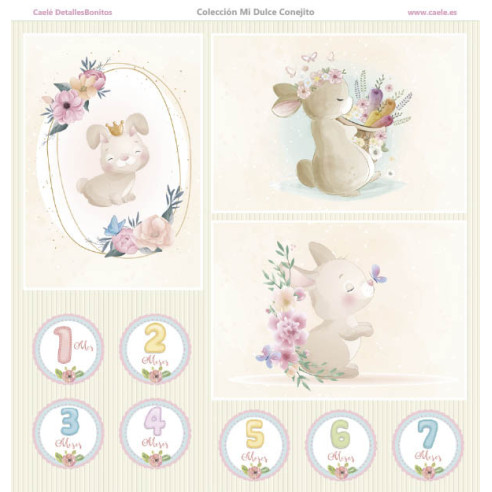 Colección papeles de scrapbooking "Mi dulce conejito" 21x21cm