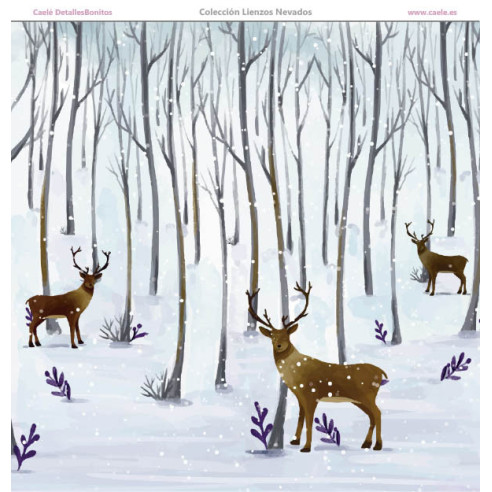 Colección papeles de scrapbooking "Lienzos nevados" 30.5 x 30.5 cm