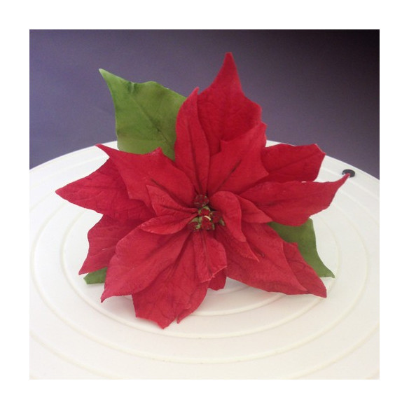 Set cortadores de fondant Flor de Pascua - Poinsettia