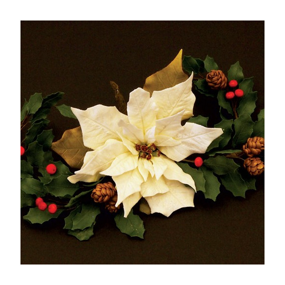 Set cortadores de fondant Flor de Pascua - Poinsettia