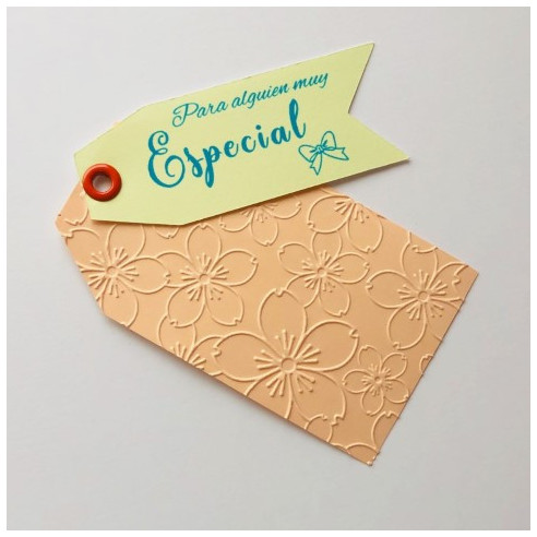 ETIQUETAS fondo salmón - Para alguien muy ESPECIAL