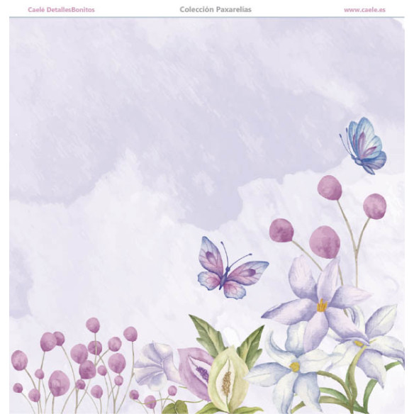 Colección papeles de scrapbooking "Paxarelías" 30.5x30.5cm