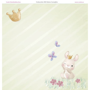 Colección papeles de scrapbooking "Mi dulce conejito" 21x21cm 2